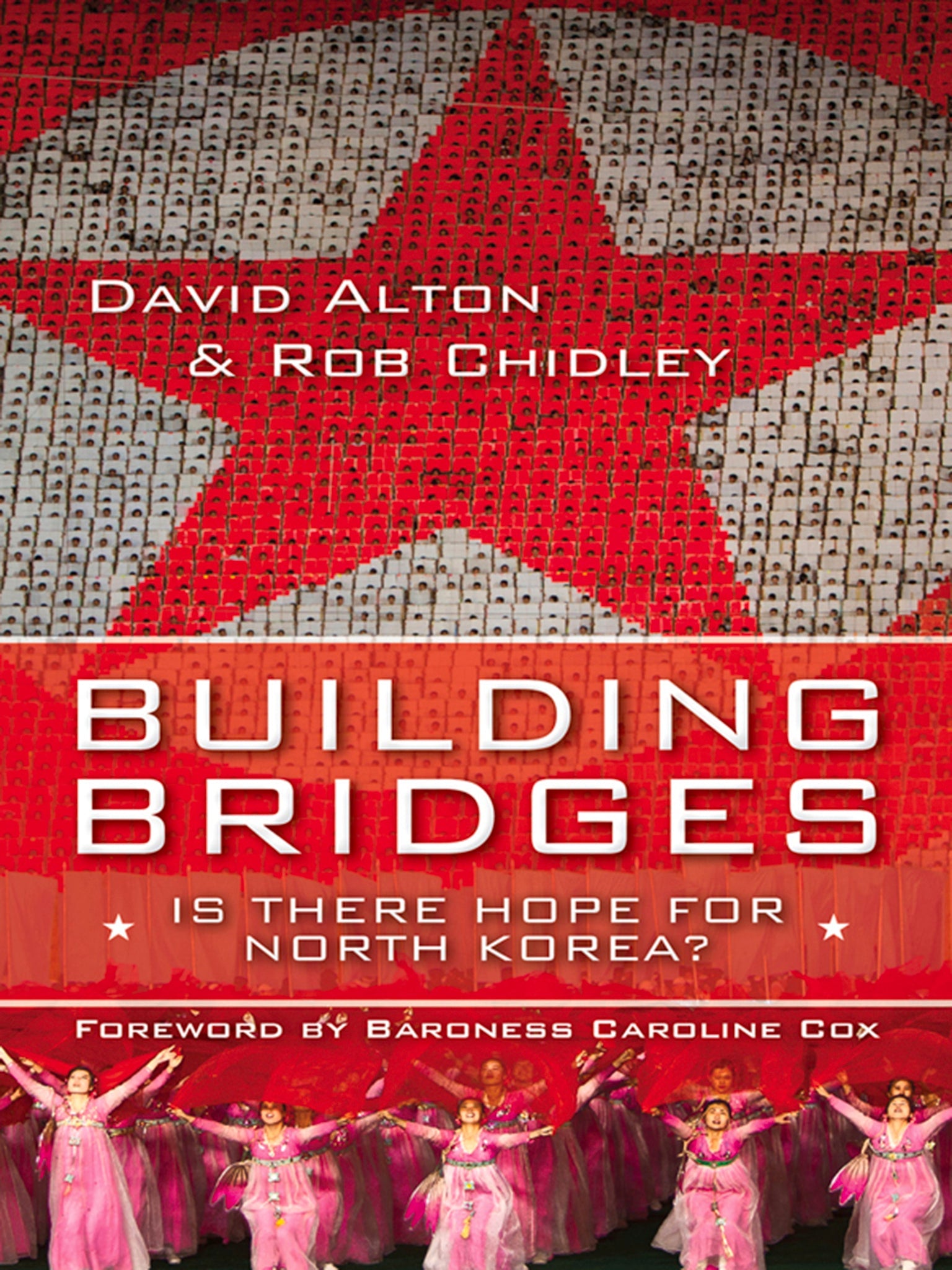 Cover image for Building Bridges ISBN 9780745955988